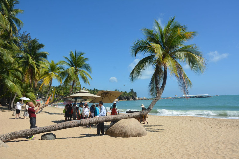 海南阳光日记，椰风海韵的温暖篇章